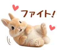 843359433