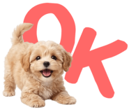 843359458