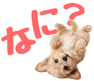 843359471