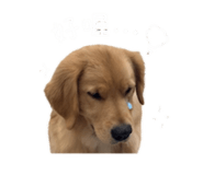 843359575