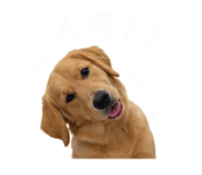 843359588
