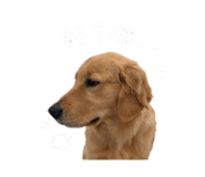 843359591
