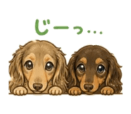 843360479