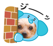 843360580