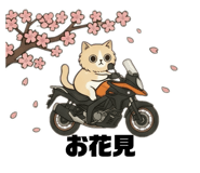 843360709