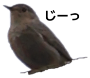843360767