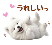 843360810