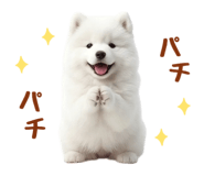 843360813