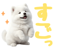 843360815