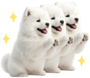 843360816
