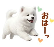 843360821