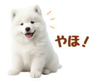 843360822