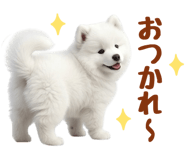 843360823