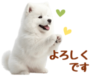 843360825