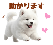 843360828