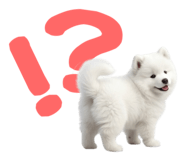 843360829
