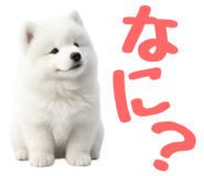 843360831
