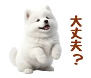 843360832