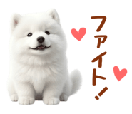 843360833