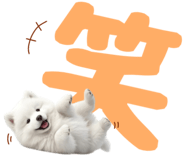 843360837