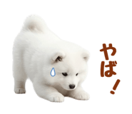 843360842