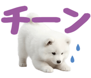 843360846