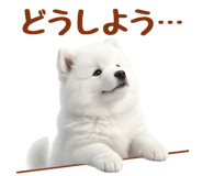 843360847