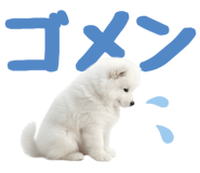 843360848