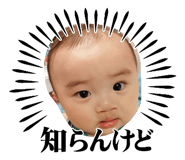 843361513