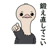 843361867