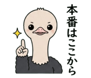 843361871