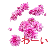 843362107
