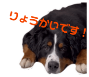 843362145