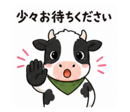 843362593