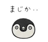 843362698