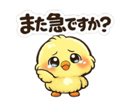 843362769