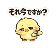 843362776