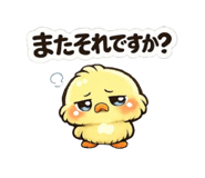 843362777