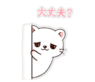 843362911