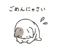 843363033