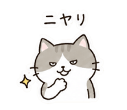 843363039
