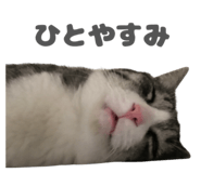 843363246