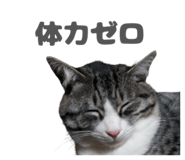 843363247