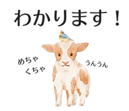 843363488
