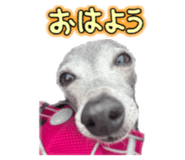 843363835