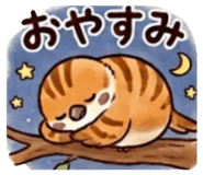 843364226