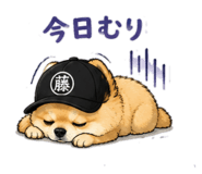 843364420