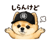 843364423