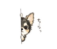 843364575