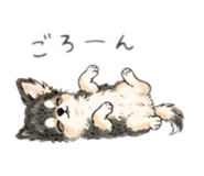 843364596